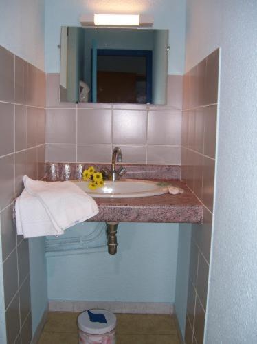 Citotel Hotel Le Commerce Severac-d'Aveyron Phòng bức ảnh